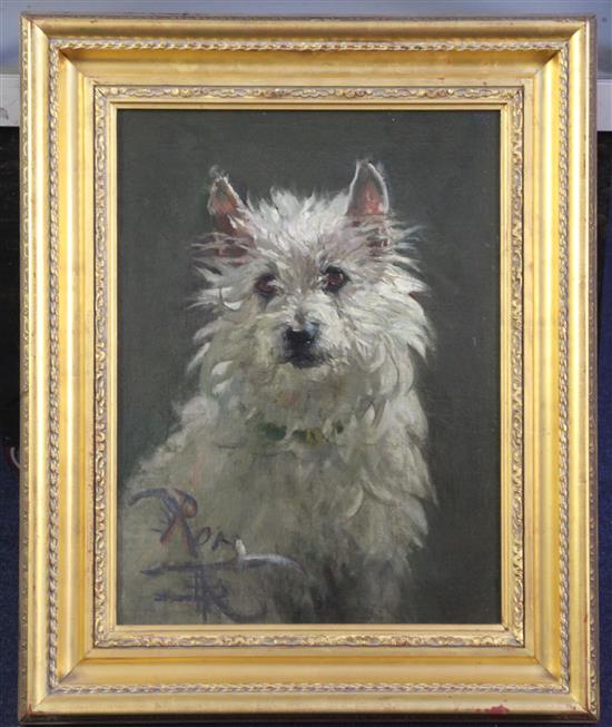 Nathaniel Hughes John Baird (1865-1936) Rory a study of a Highland Terrier 15.5 x 11.5in.